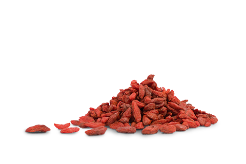 Baies de Goji séchées